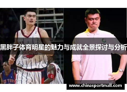 黑胖子体育明星的魅力与成就全景探讨与分析