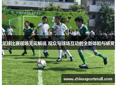 足球比赛现场无需解说 观众与球场互动的全新体验与感受